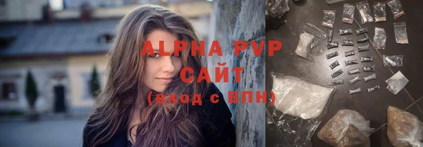 стаф Алексин