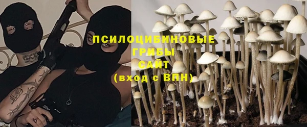 бутират Алексеевка