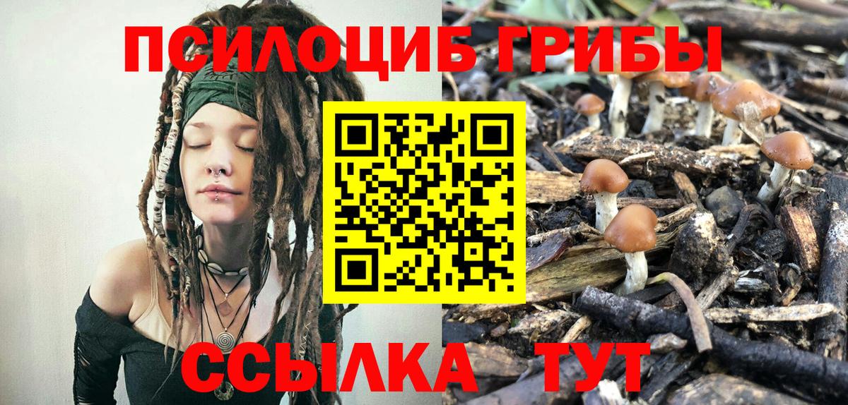 Псилоцибиновые грибы Cubensis  Вход с VPN  где найти наркотики  Советская Гавань 