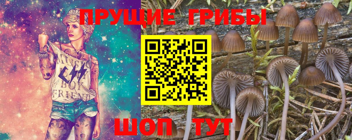 Псилоцибиновые грибы MAGIC MUSHROOMS Советская Гавань